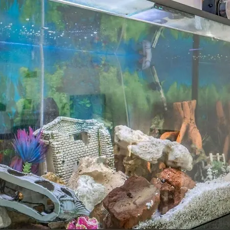 Enya Appartamento Mafra