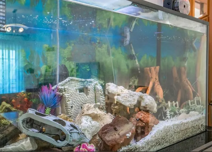 Enya Apartamento Mafra